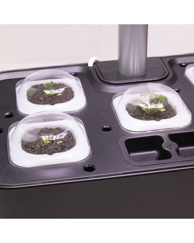 Permet de maintenir la chaleur et l'humidité pour la germination des graines