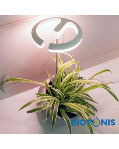 Lampe pour plantes vertes et orchidées