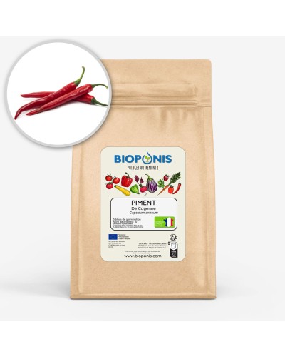 Graines de Piment de Cayenne