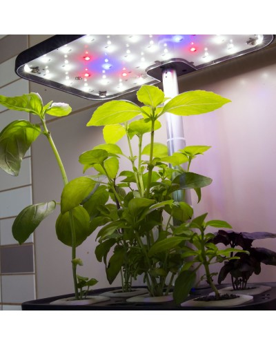 Eclairage avec Led horticoles