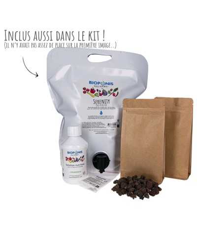 Kit de démarrage bioponie