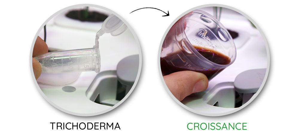 Ajout du biostimulant Trichoderma et de la solution nutritive CROISSANCE, lors du démarrage d'un potager en bioponie.