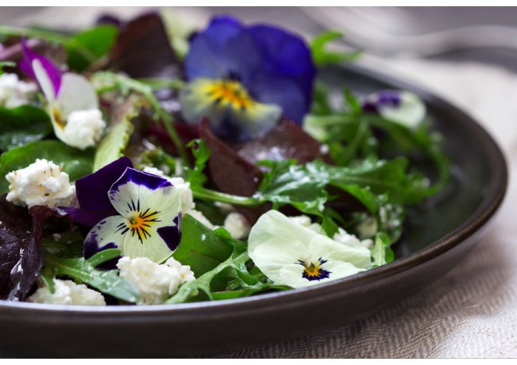 Salade fraîcheur aux fleurs de pensées